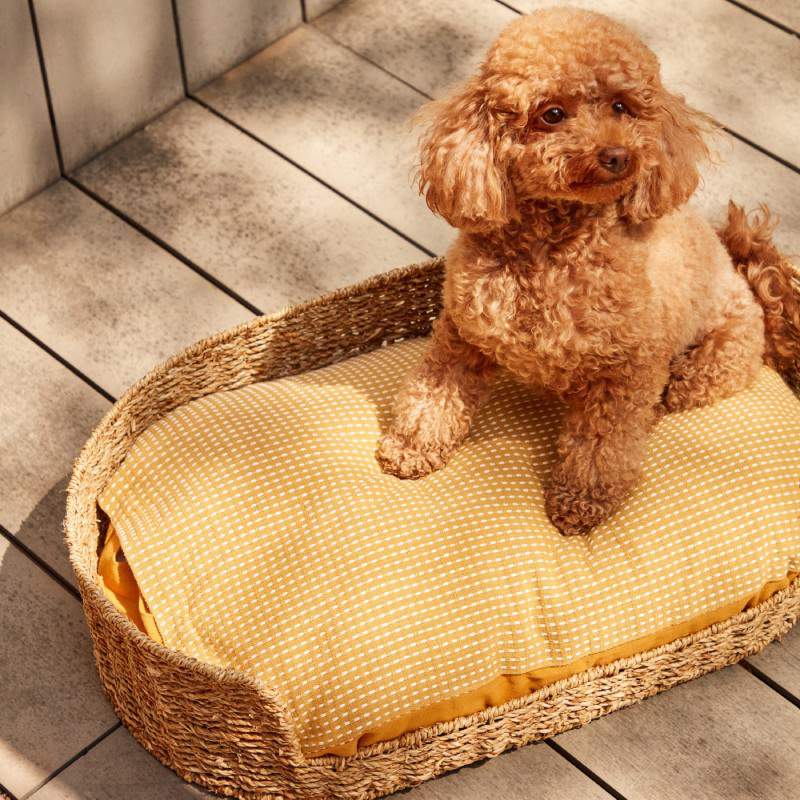 Cama para perro de fibra natural Fliicker