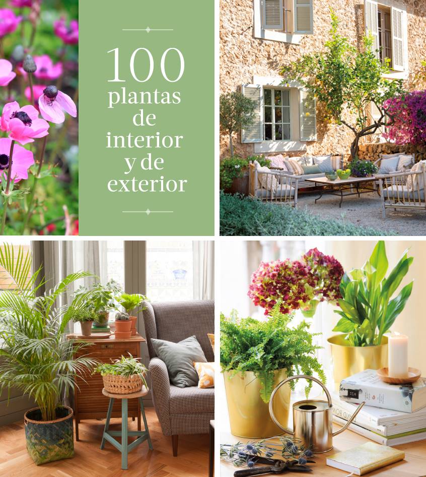 Ebook plantas El Mueble.