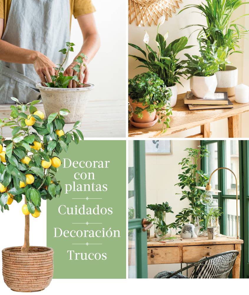 Ebook plantas El Mueble.