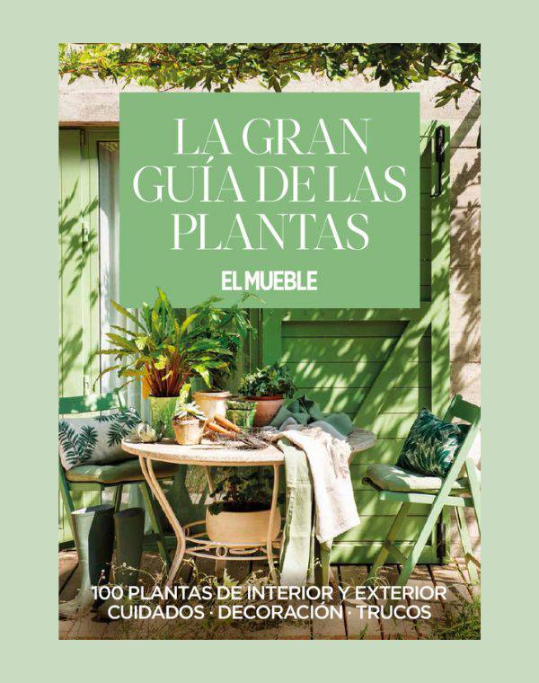 ¡OFERTA! Bajamos el precio del eBook 'La gran guía de las plantas' de El Mueble, ¡corre a por él!