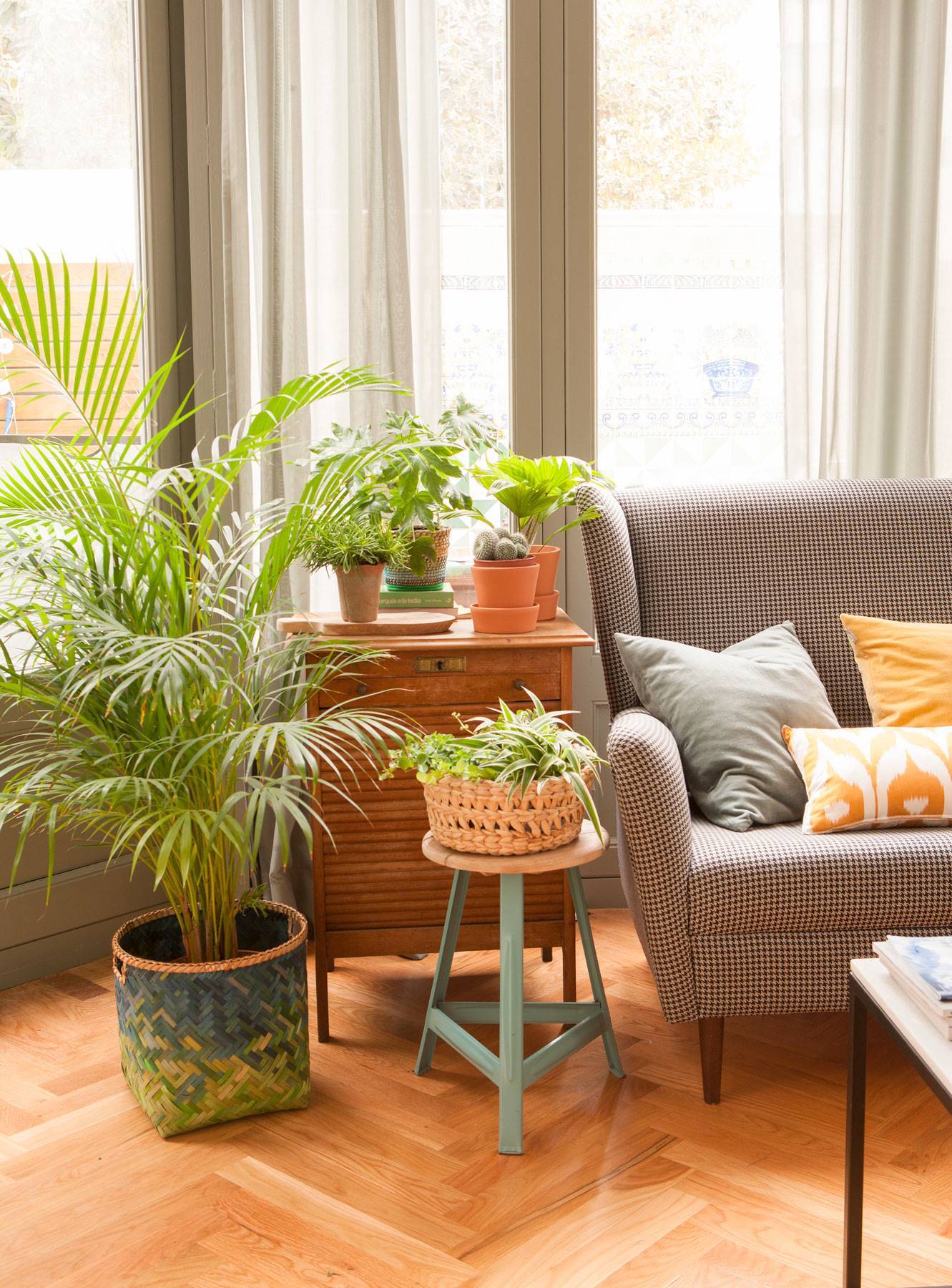 Salón con plantas de interior.