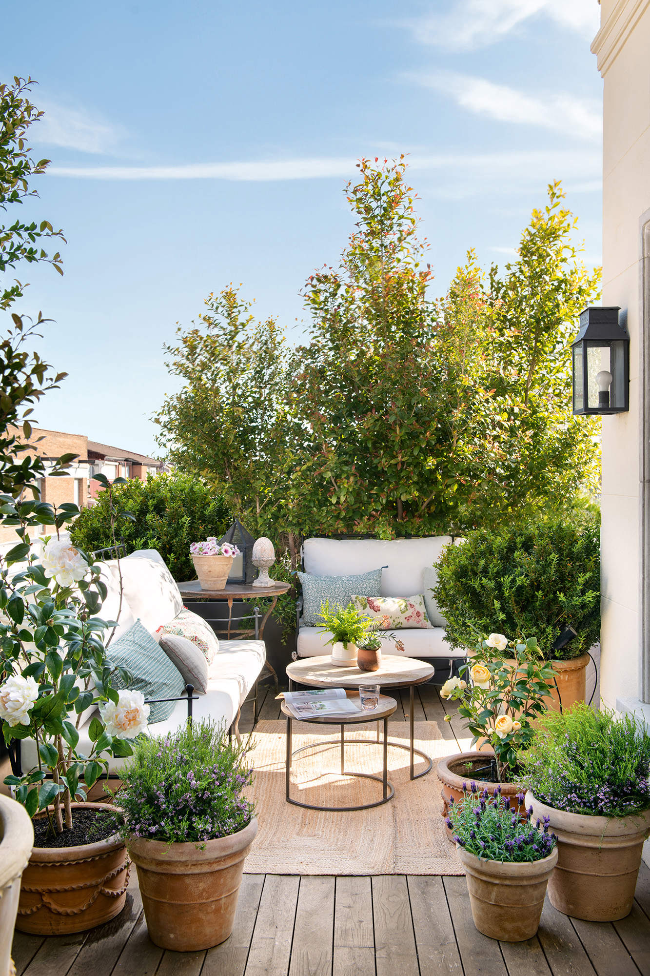 Terraza con una pantalla de plantas para ganar privacidad