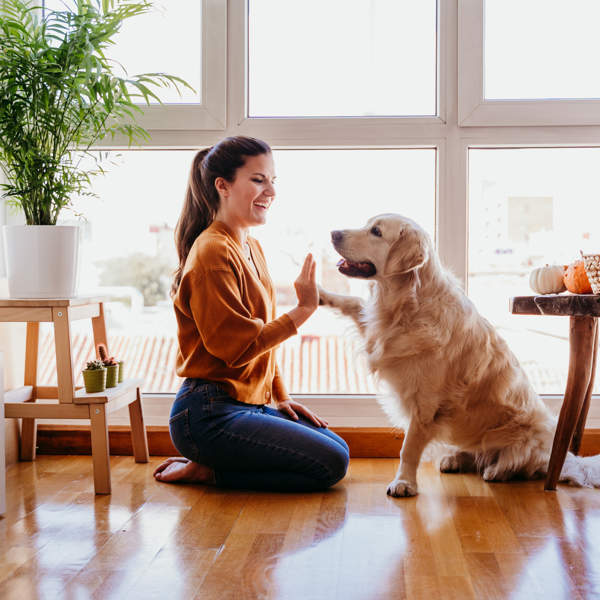 Adiós al mito: los expertos nos dicen si está bien o mal que le hablemos a nuestro perro como bebé